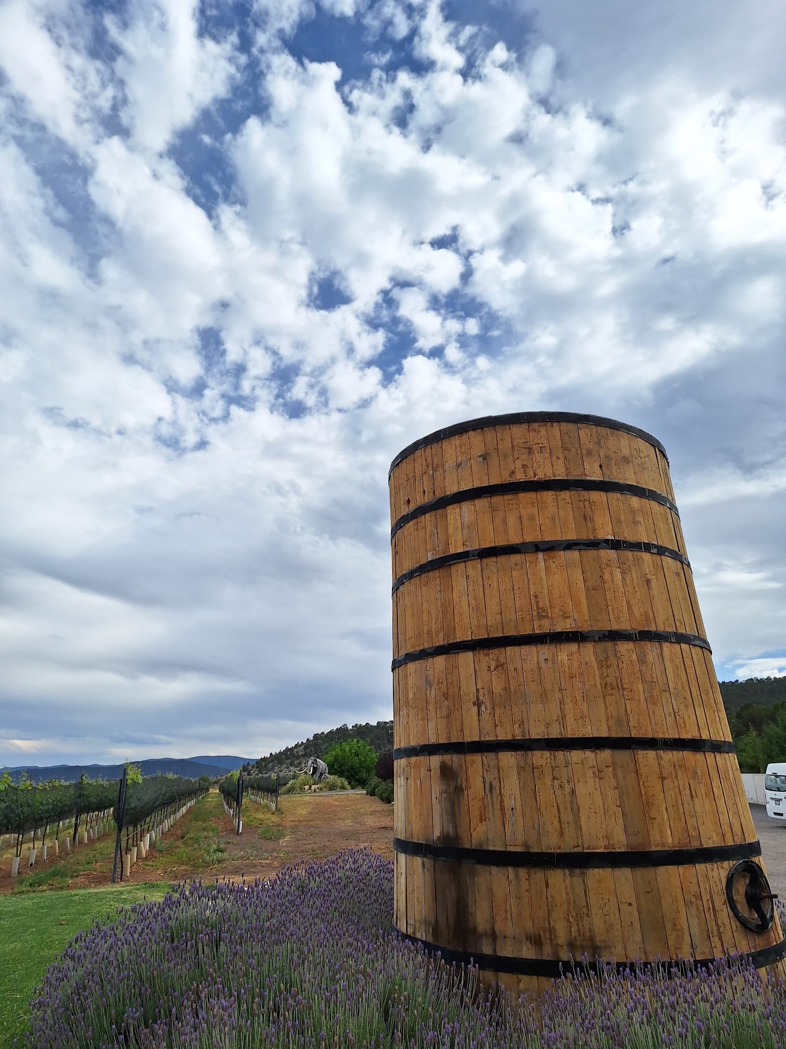 Bodega Los Cedros photo 2