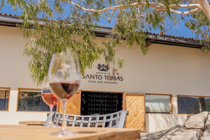 Bodegas de Santo Tomás - Cava San Antonio de las Minas photo 1