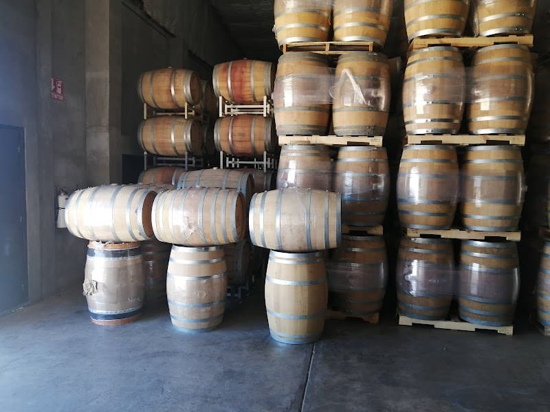Bodegas Henri Lurton photo 3