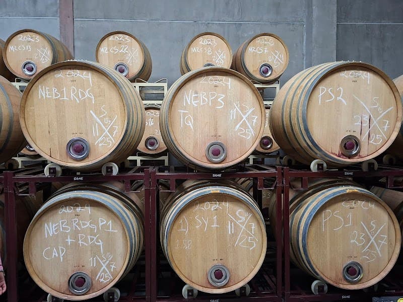 Bodegas Henri Lurton photo 5