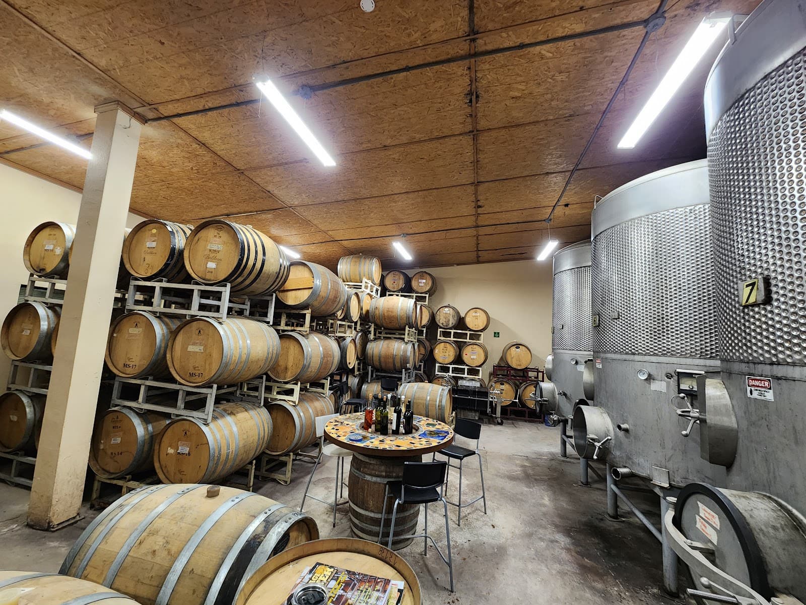 Bodegas San Rafael / Vinicola Ojos Negros photo 1