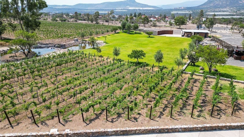 Bodegas Vaivén photo 1
