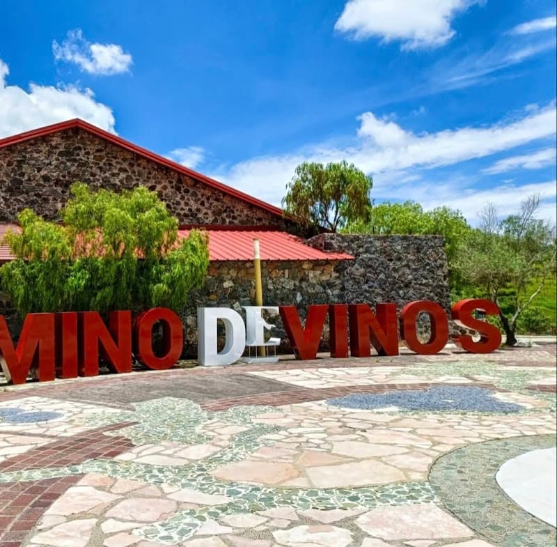 Camino De Vinos photo 2