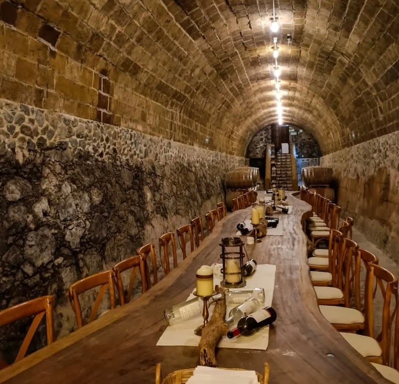 Camino De Vinos photo 3