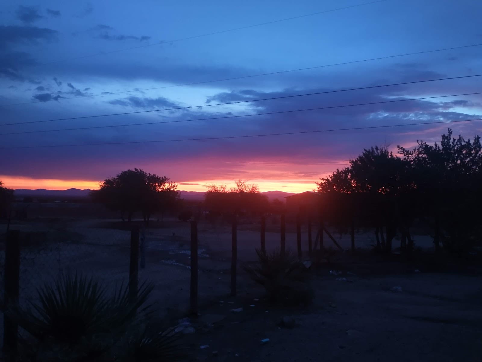 Campo divisadero de leon photo 4