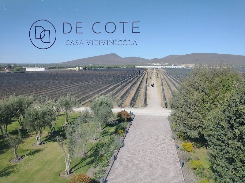 Casa Vitivinícola Bodegas De Cote photo 3