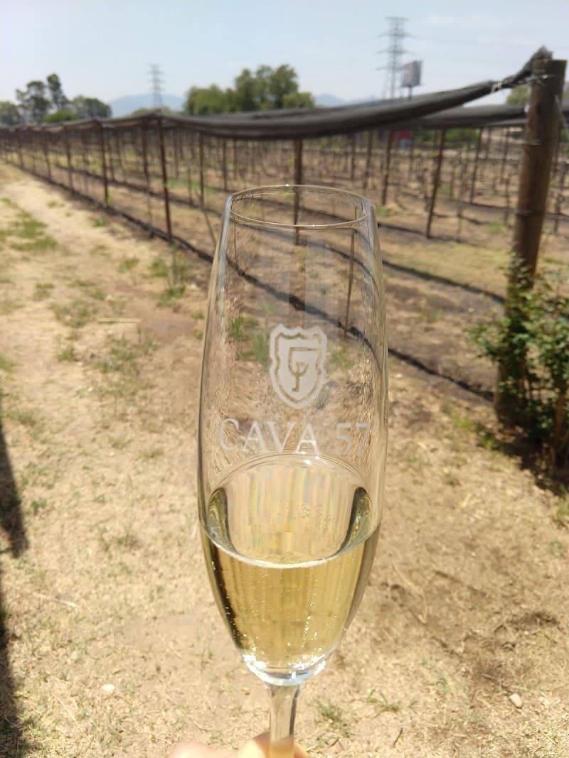 Cava 57 photo 4