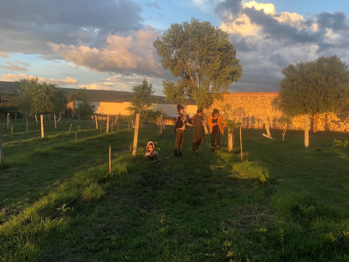 Cava Garambullo photo 5