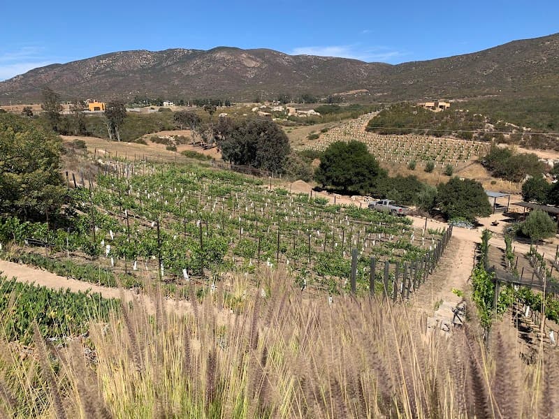 Clos de Tres Cantos photo 3