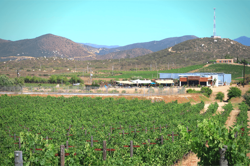 Corona del Valle photo 2