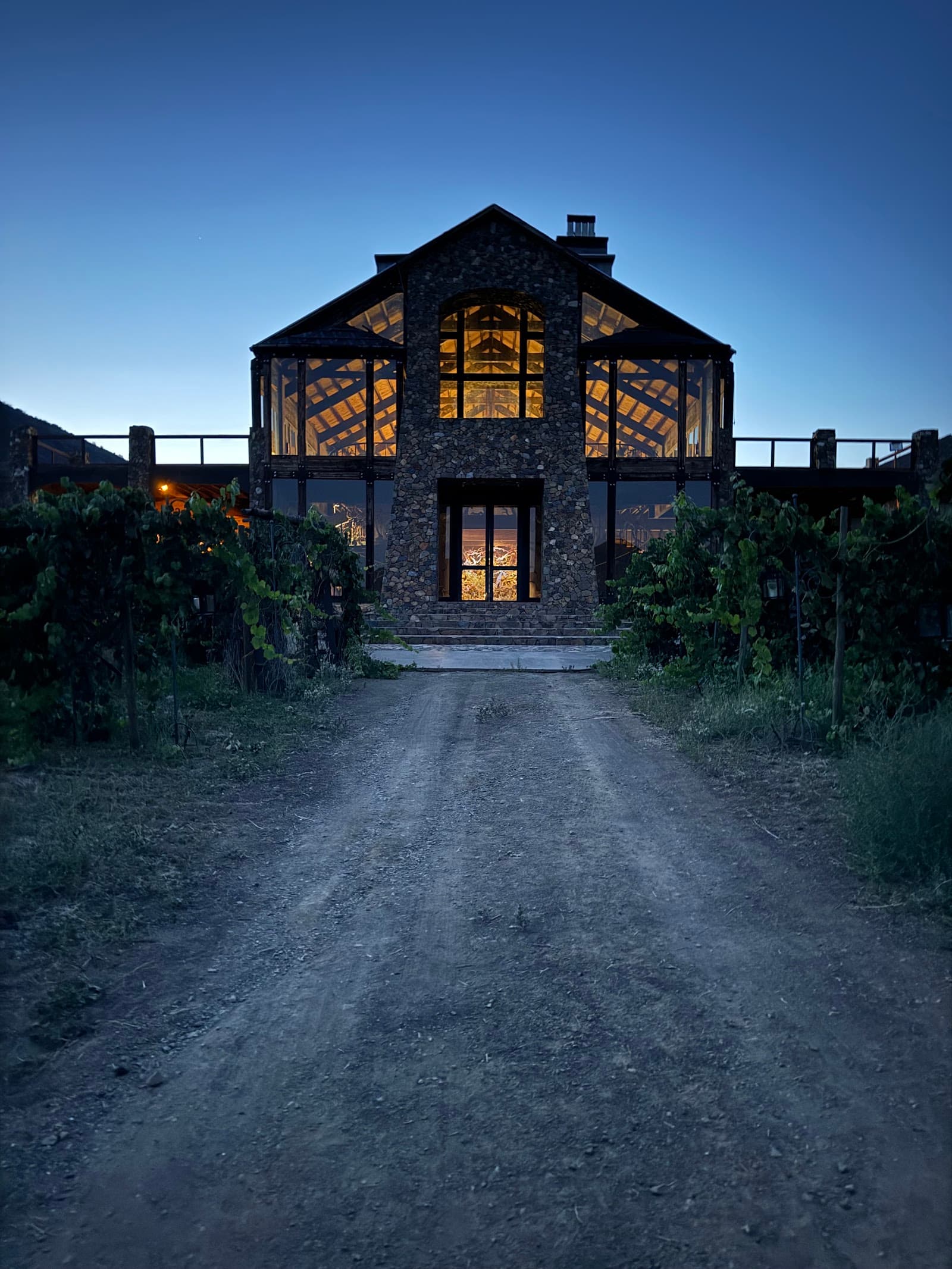 DOVINTO photo 1