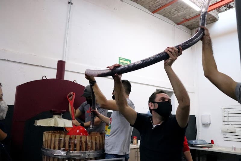 Escuela de Vino (Bodega de Producción) photo 3