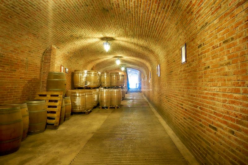 Finca Sala Vivé by Freixenet photo 3