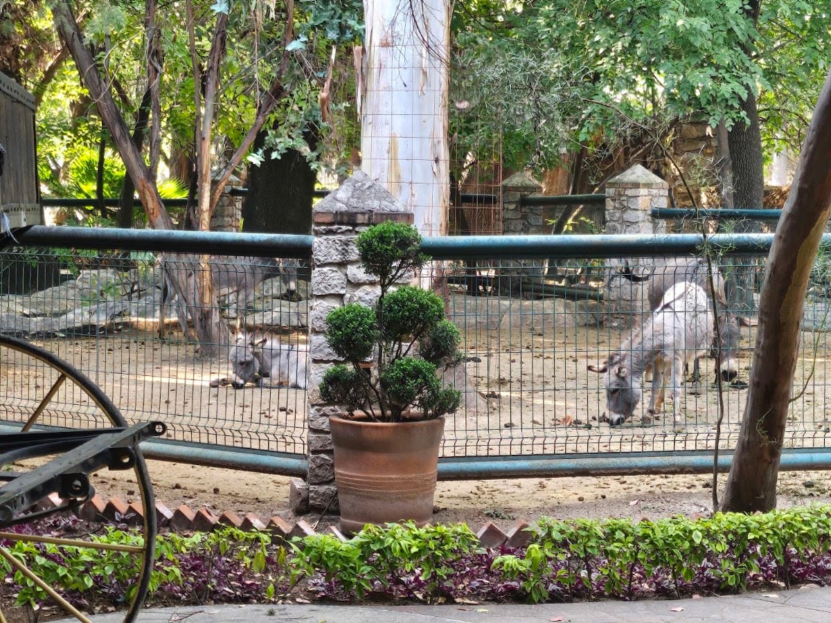 Hacienda Atongo photo 6