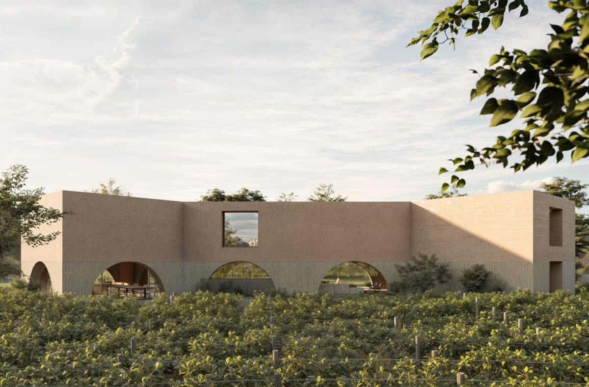 Ineffable Vineyard photo 2