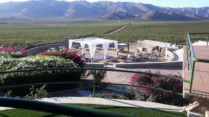 L.A. CETTO - Boutique Valle de Gpe. photo 2