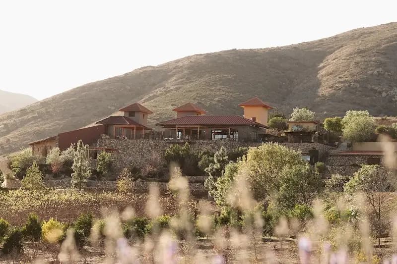 Mexican wine country
