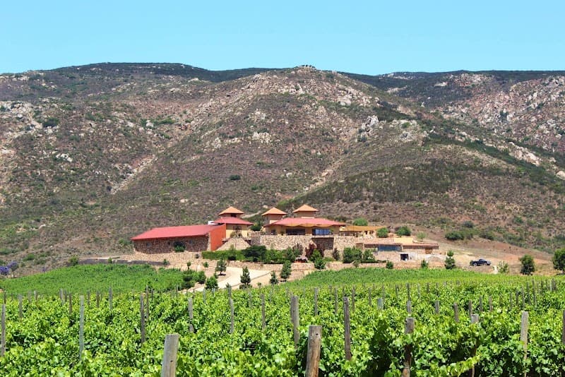Las Nubes Bodegas y Viñedos photo 2