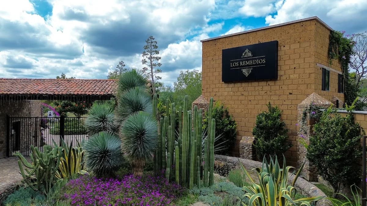 Restaurante Viñedos Los Remedios