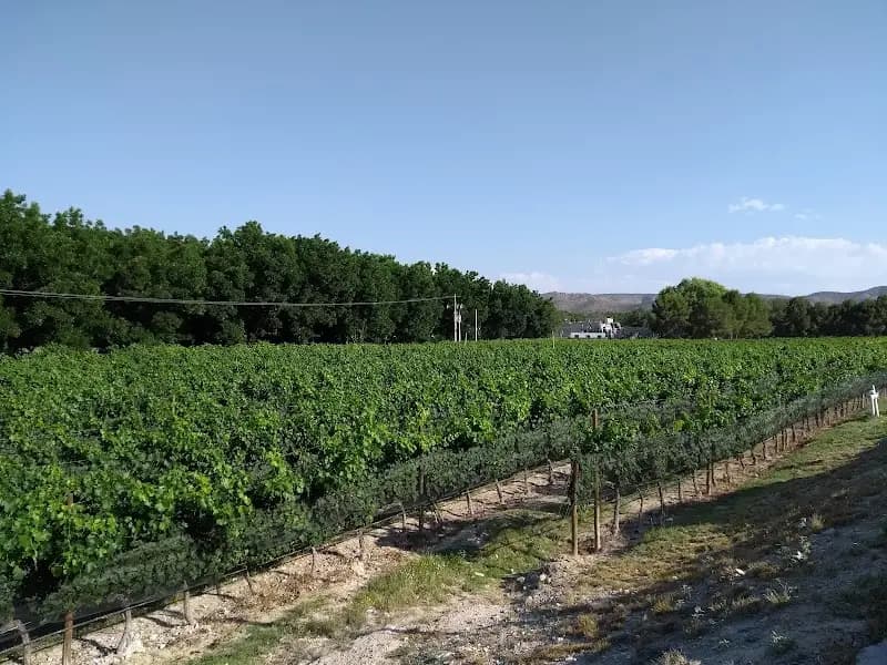 Valle de Parras