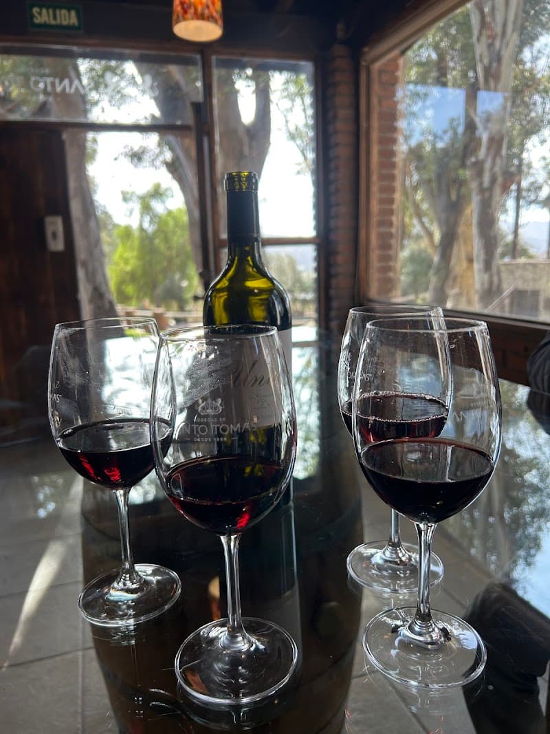 Santo Tomas winery photo 4