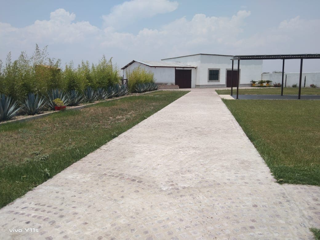Viña Gamar photo 3