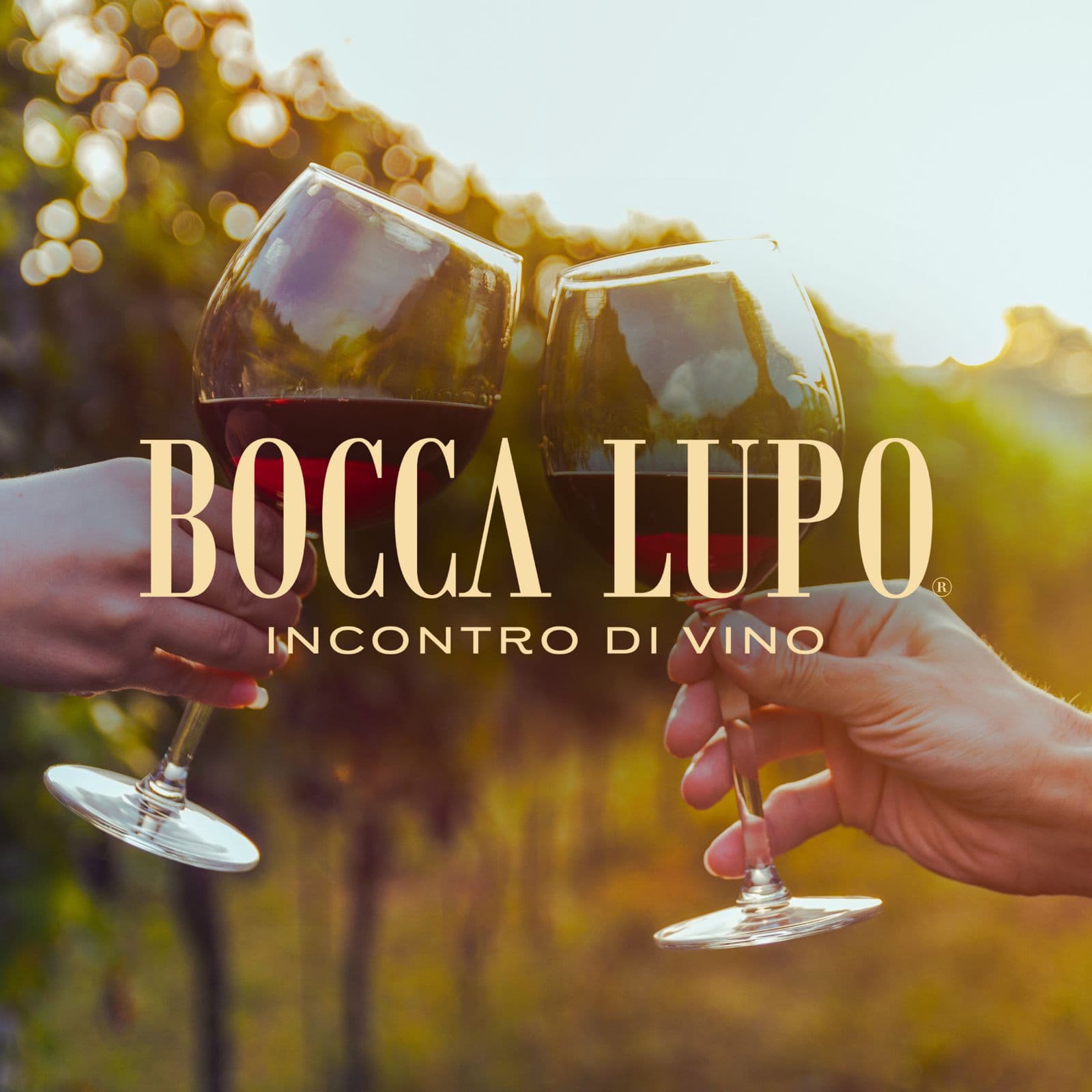 Viñedo Bocca Lupo, photo 2