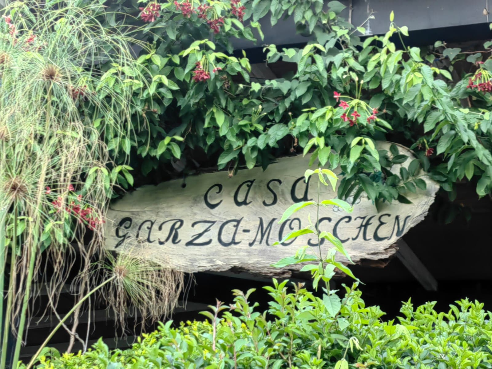 Viñedo Garza Moschen photo 1