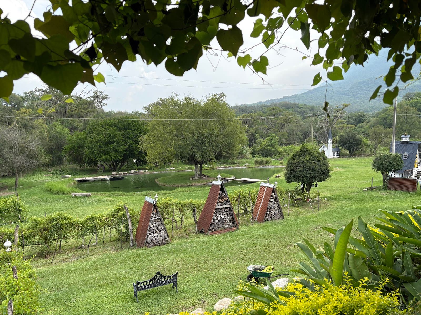 Viñedo Garza Moschen photo 2