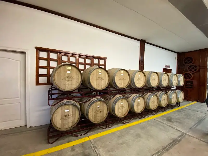 Mexican wine country
