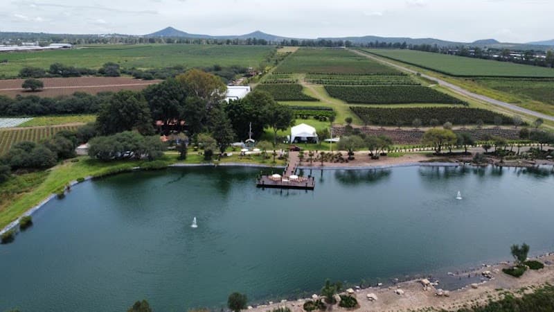 Viñedo Queretano, photo 2