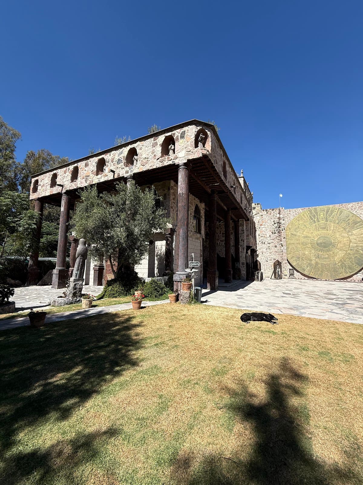 Viñedo Toyan photo 4