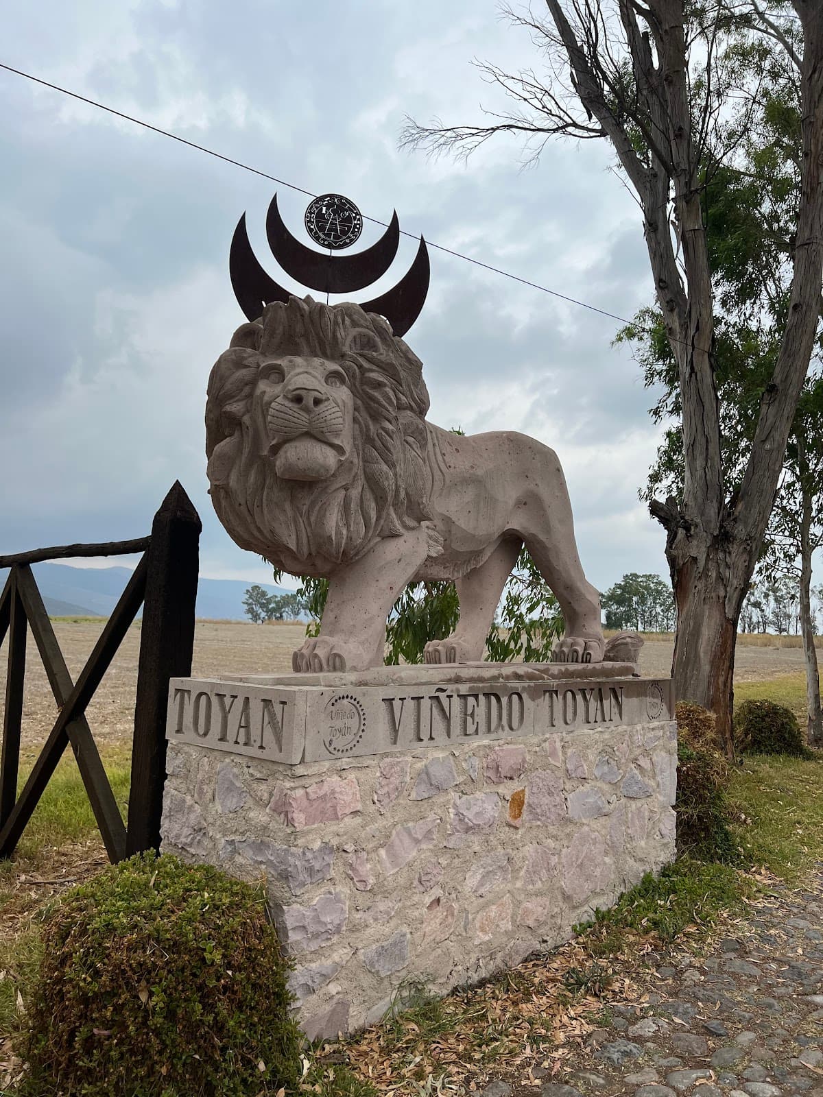 Viñedo Toyan photo 8