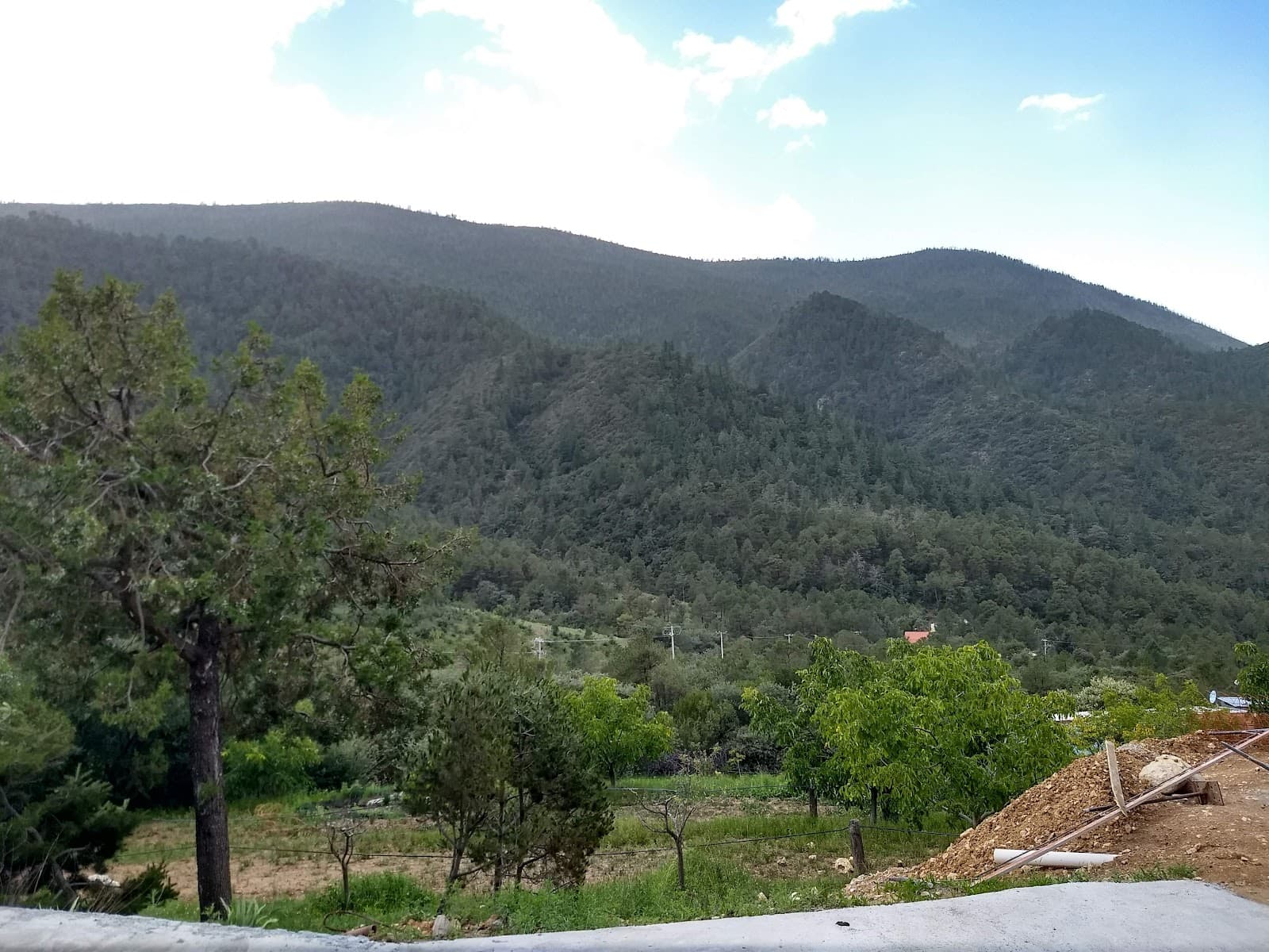 Viñedos Blanc, Alto de San Juan photo 1