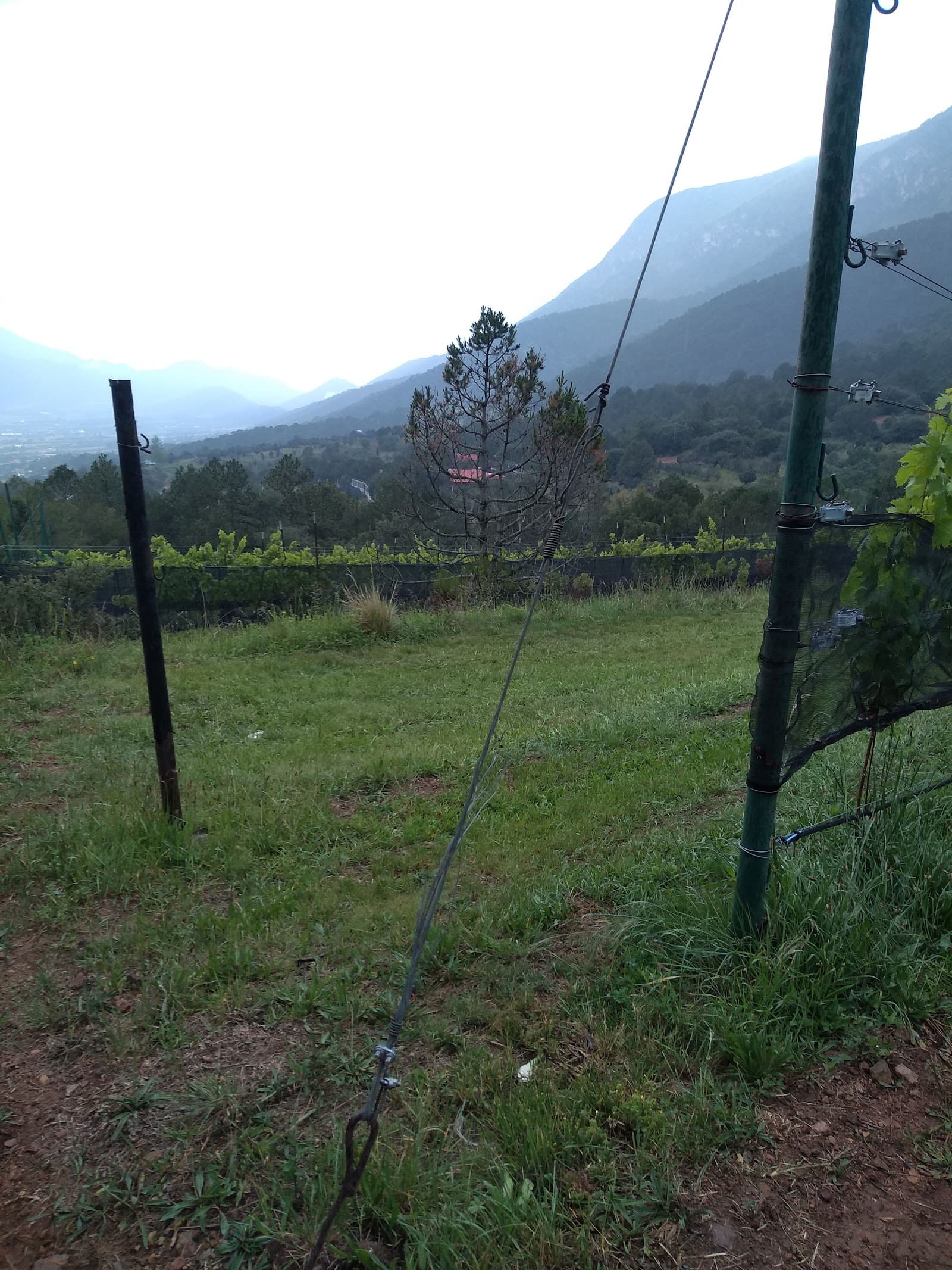 Viñedos Blanc, Alto de San Juan photo 4