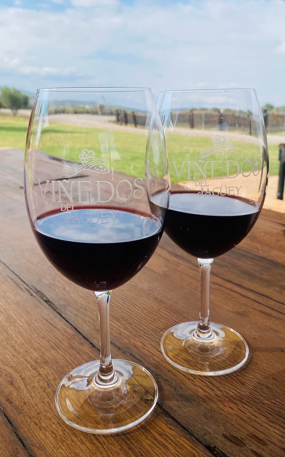 Viñedos del Jagüey photo 6