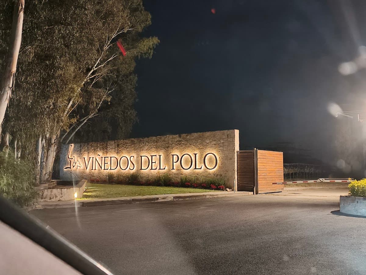 Viñedos del Polo photo 8
