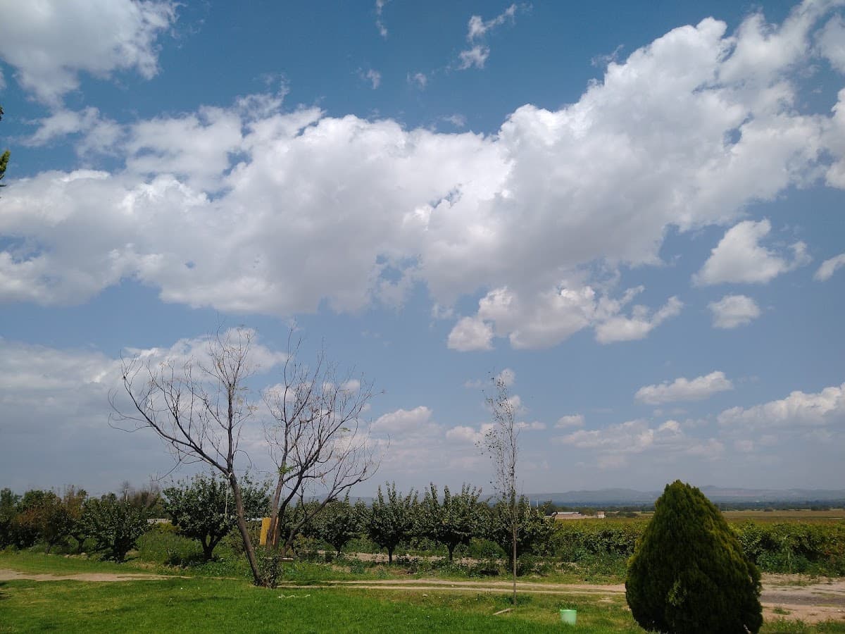 VIÑEDOS EL POTRERITO photo 8
