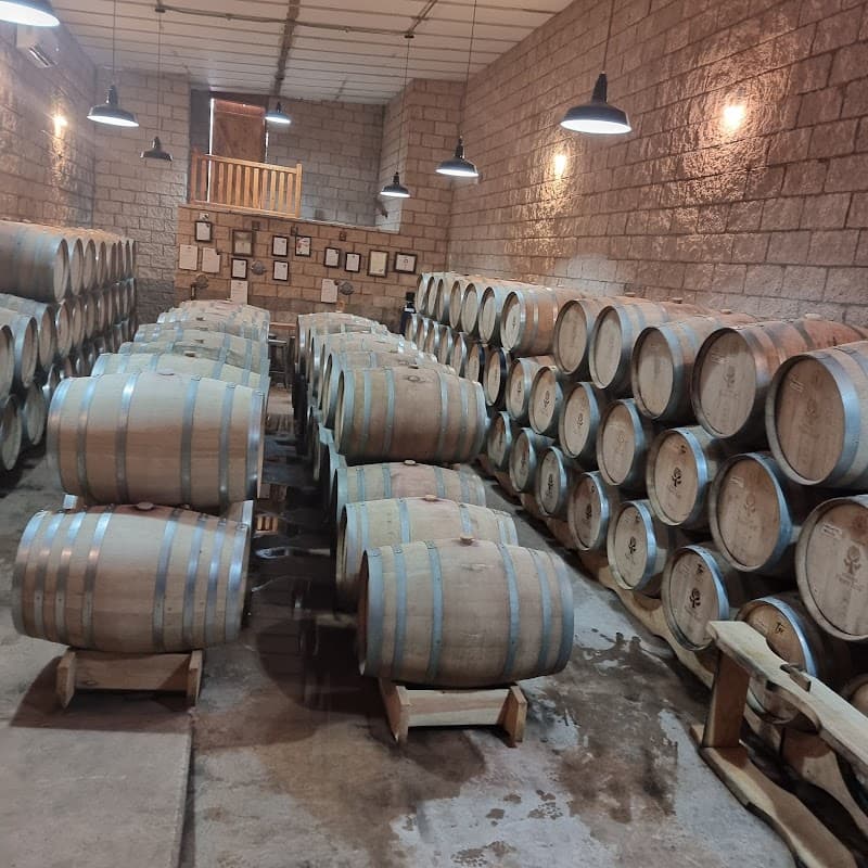 Viñedos Pájaro Azul photo 2