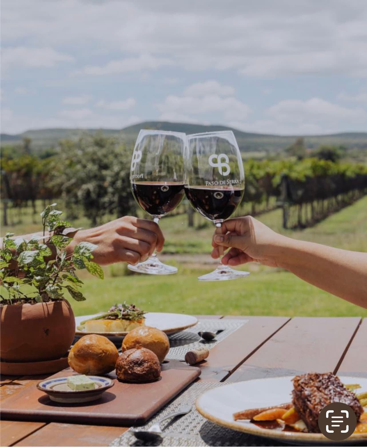 Viñedos Paso de Serra