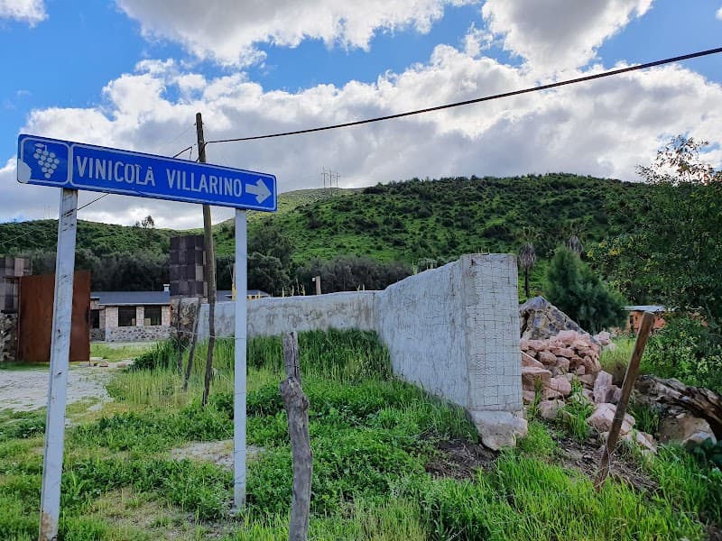 Viñedos Villarino photo 1