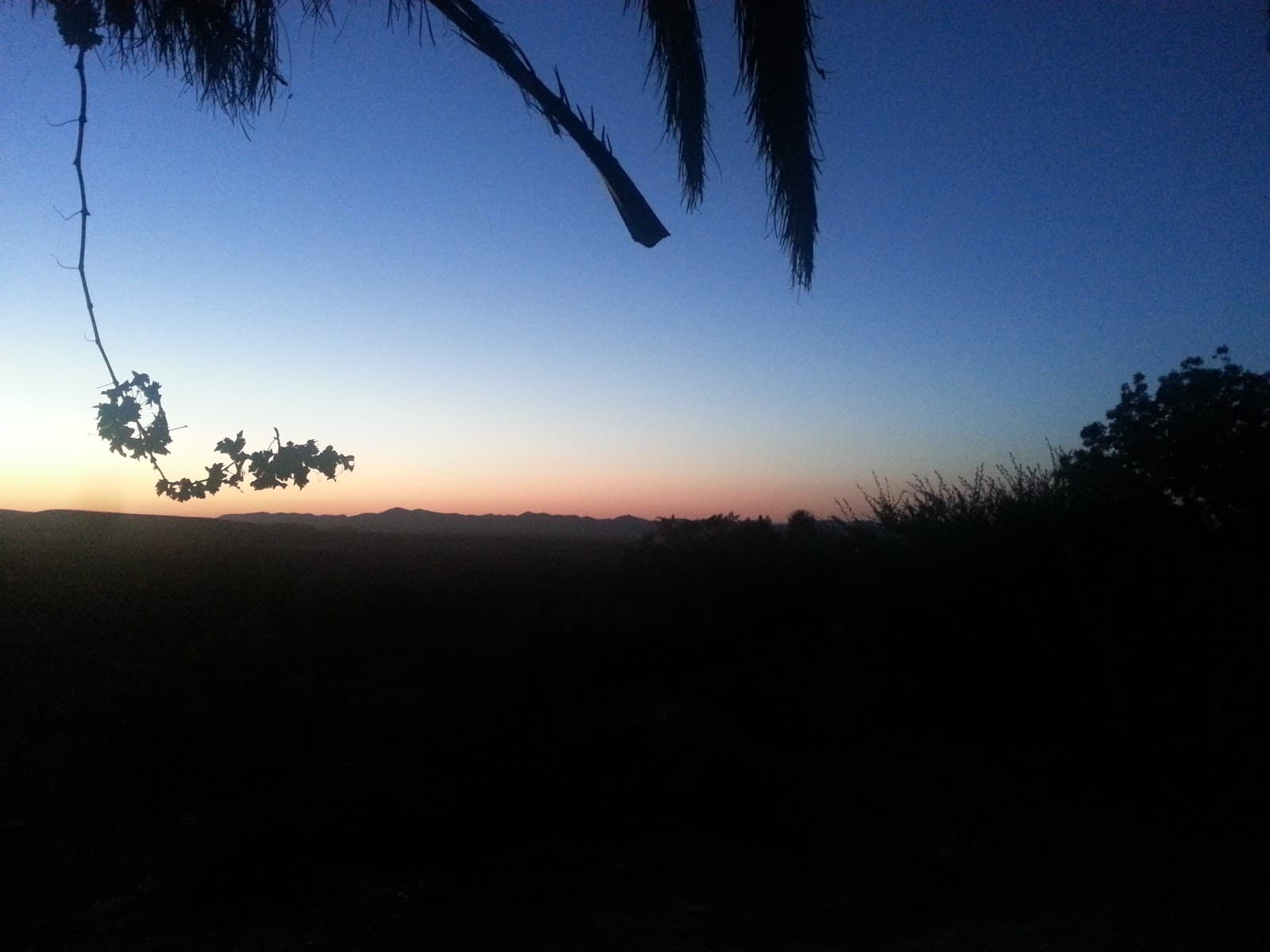 Viñedos y bodega Hacienda del Rosario photo 4