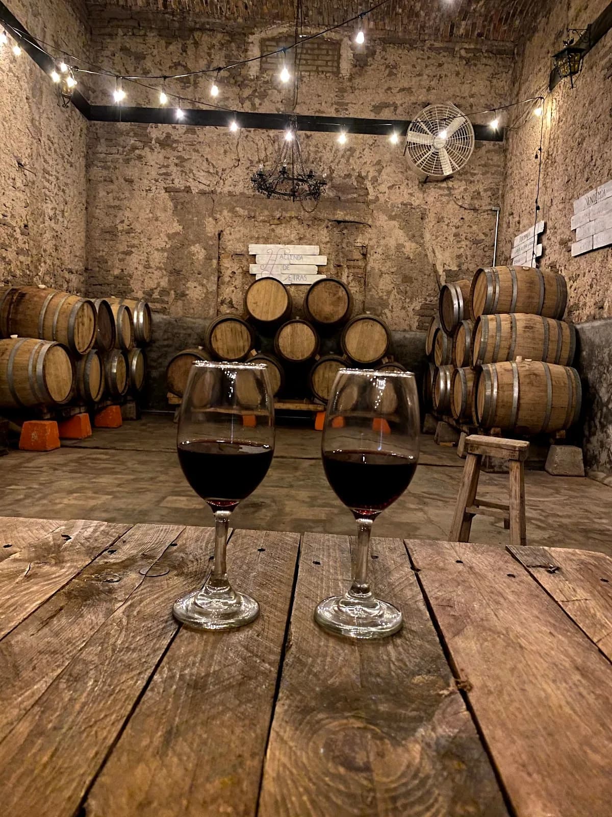 Viñedos y Bodegas Hacienda de Letras