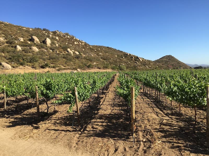 Vineyard Solar Fortún photo 2