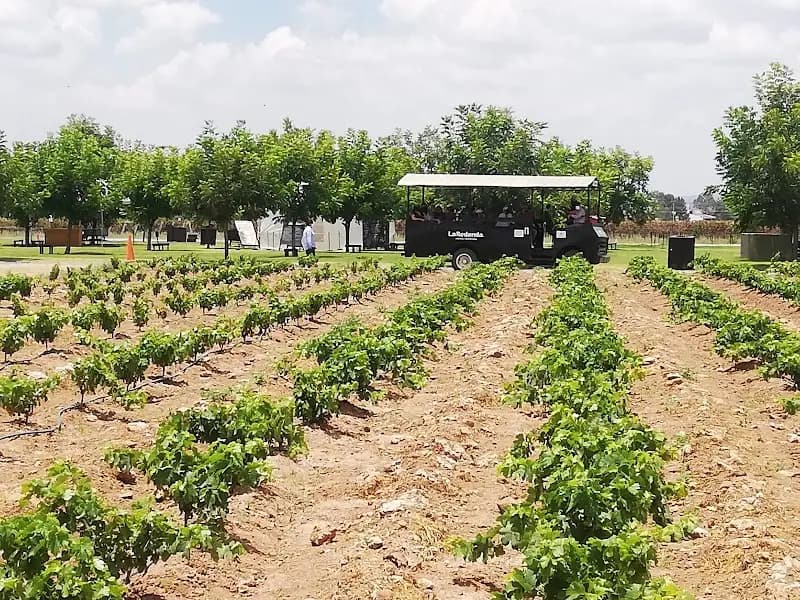 Regiones vinícolas de México