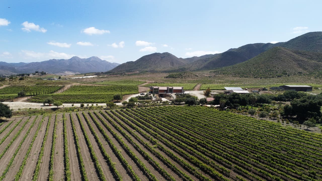 Vinicola Aldo Cesar Palafox