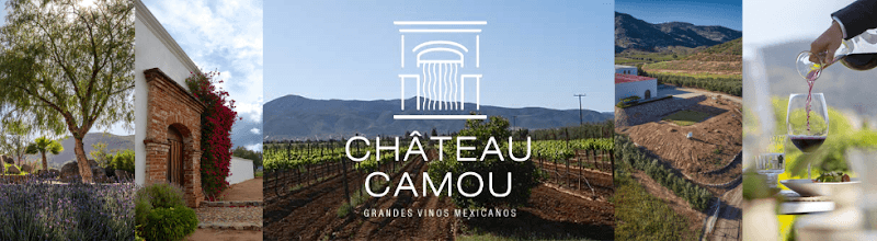 Vinícola Château Camou | Grandes Vinos Mexicanos Viñedo photo 1