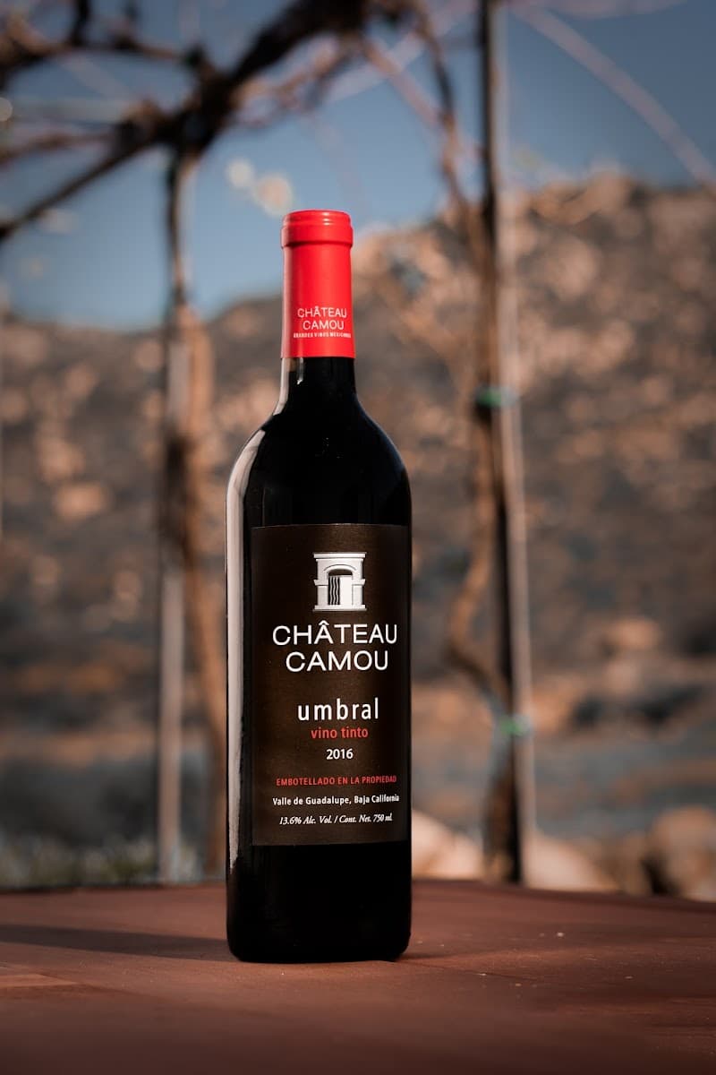 Vinícola Château Camou | Grandes Vinos Mexicanos Viñedo photo 4