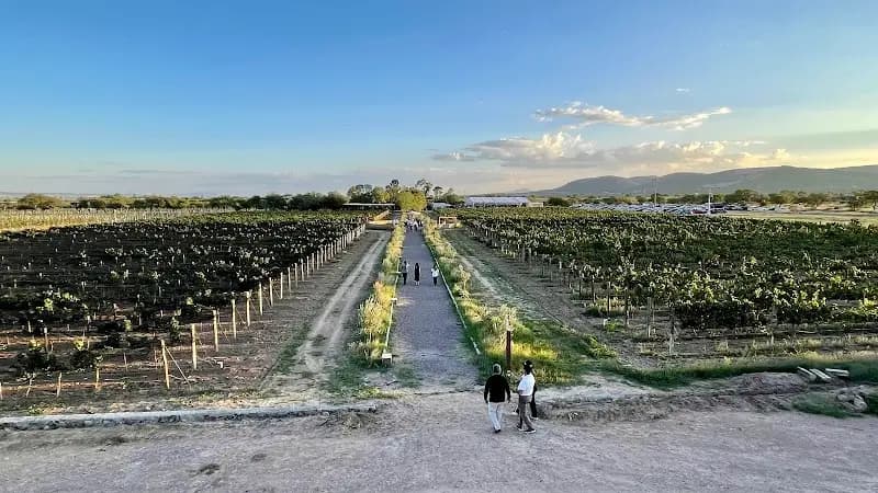 Aguascalientes