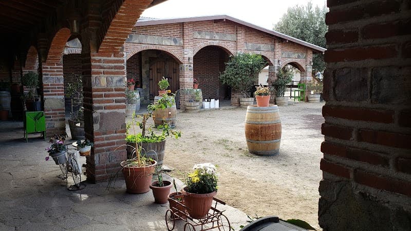 Vinicola JC Bravo photo 1